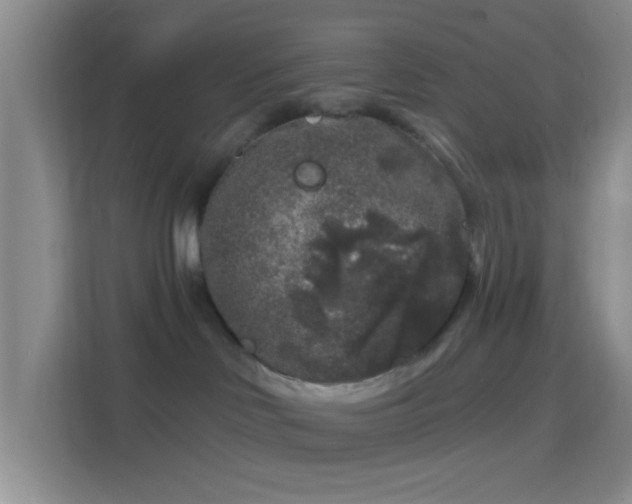 X0000114440046200910231327