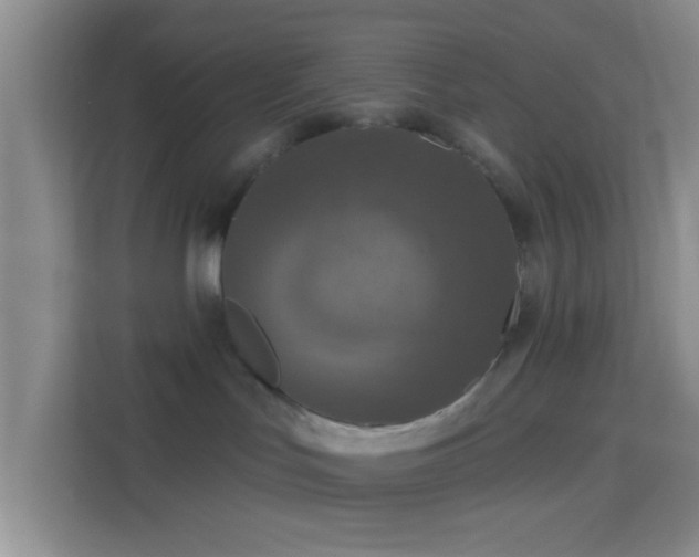 X0000114440047200910231327