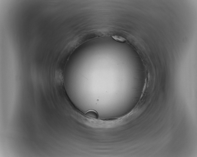 X0000114440048200910231327