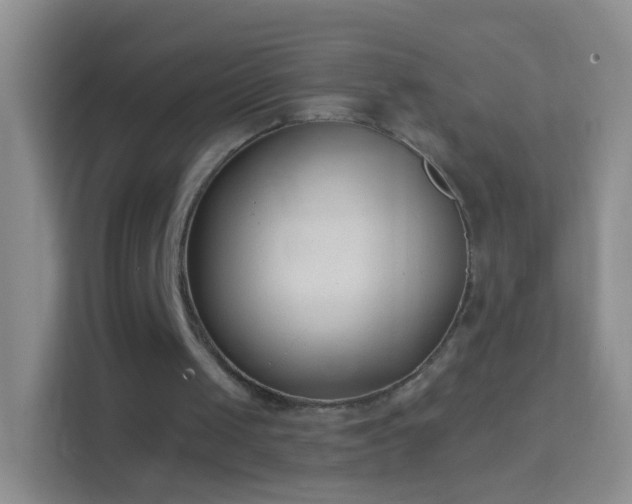 X0000114440049200910231326