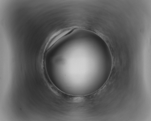 X0000114440050200910231326