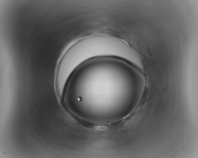 X0000114440052200910231326