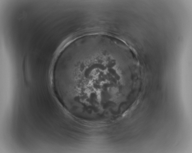 X0000114440053200910231326