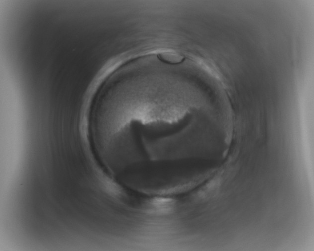 X0000114440055200910231326