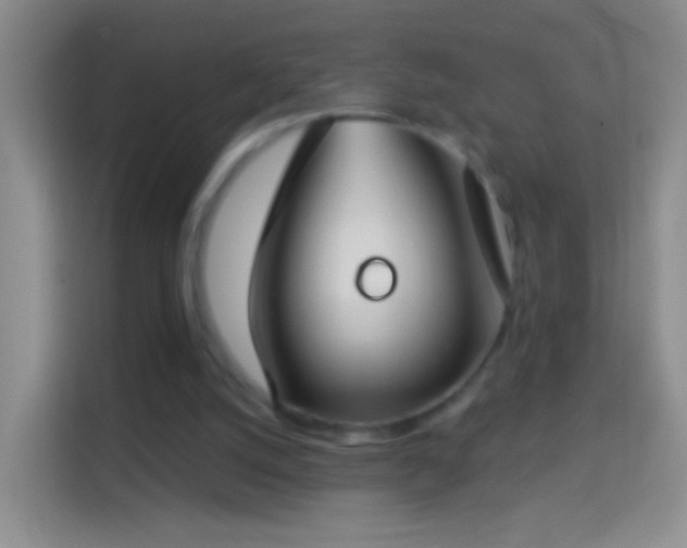 X0000114440056200910231326