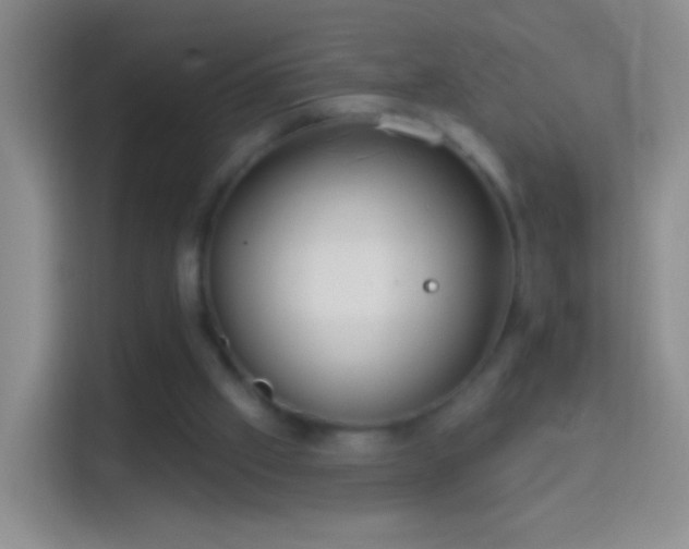 X0000114440057200910231326