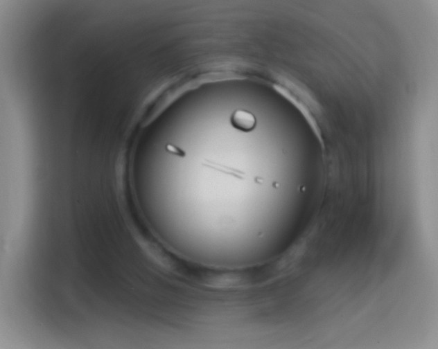 X0000114440058200910231326