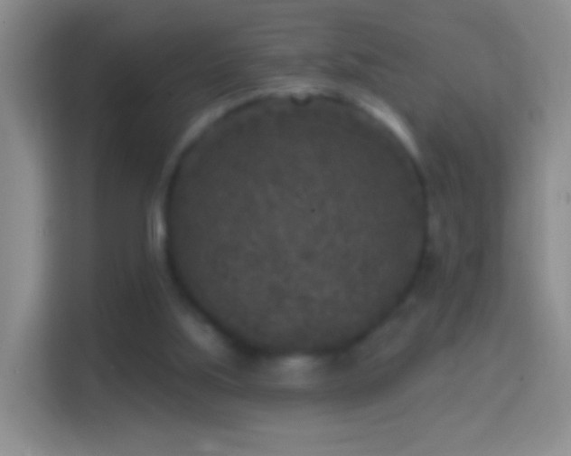 X0000114440059200910231326