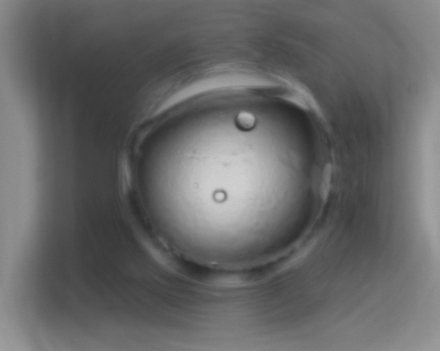 X0000114440061200910231326