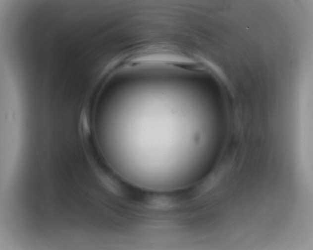 X0000114440062200910231326