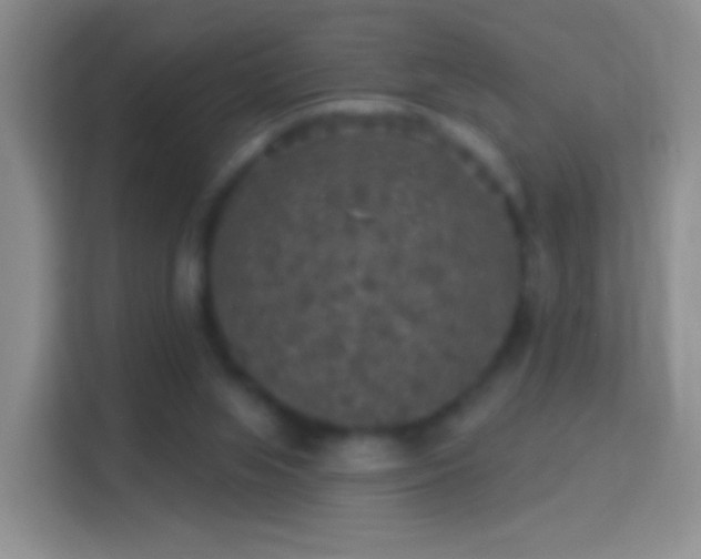 X0000114440063200910231326