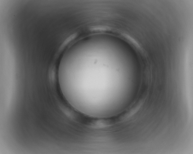 X0000114440064200910231326