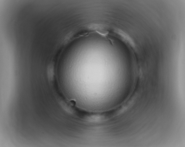 X0000114440065200910231326