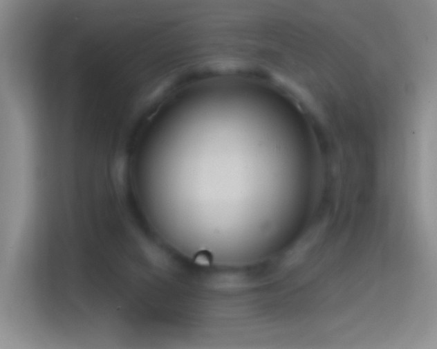 X0000114440066200910231326