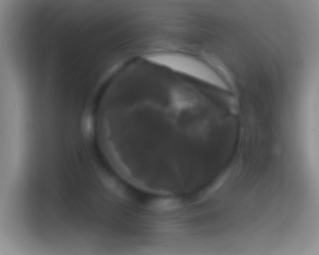 X0000114440067200910231326