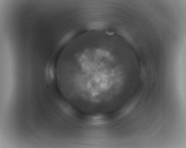 X0000114440068200910231326