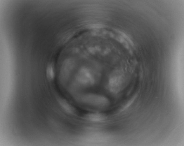 X0000114440069200910231326