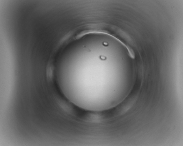 X0000114440071200910231326