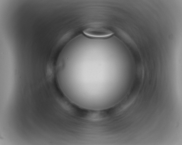 X0000114440072200910231326