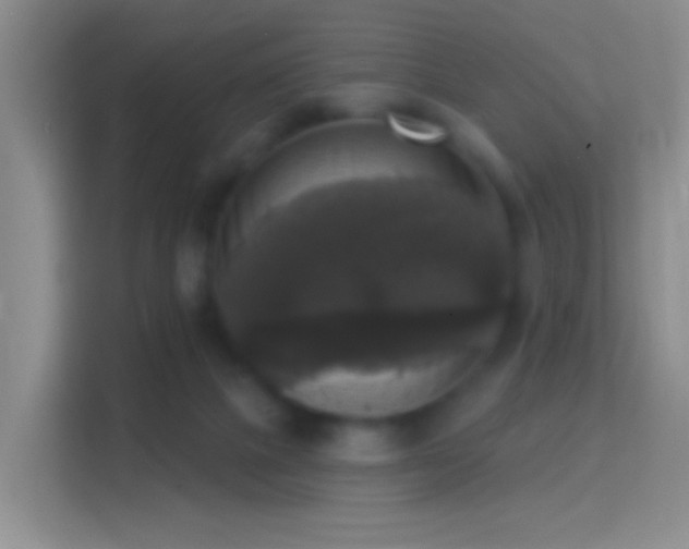 X0000114440073200910231326