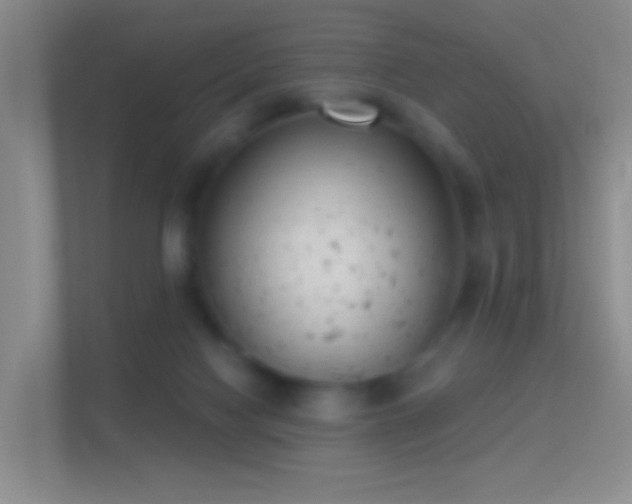 X0000114440074200910231326