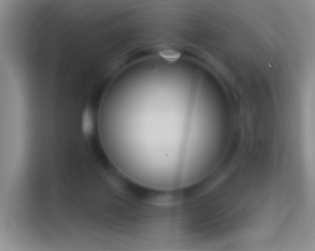 X0000114440075200910231326