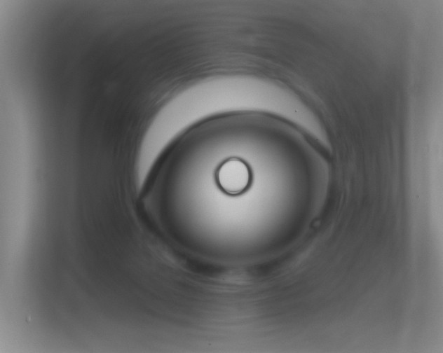 X0000114440076200910231326