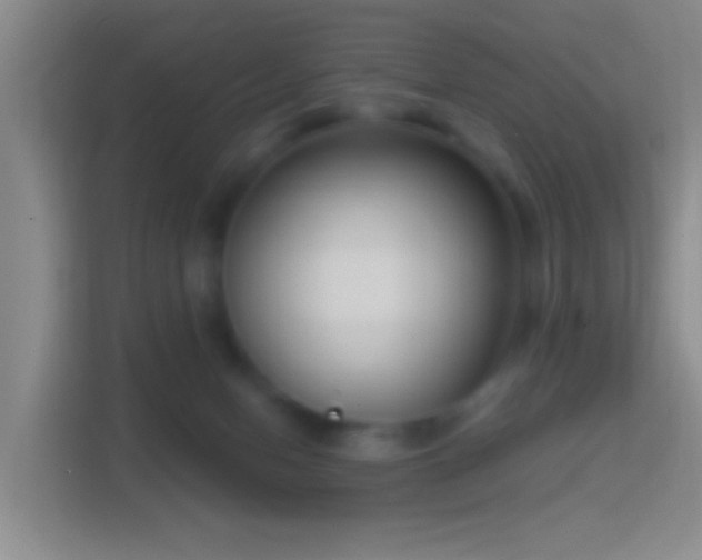 X0000114440078200910231326