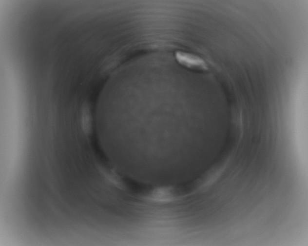 X0000114440080200910231327