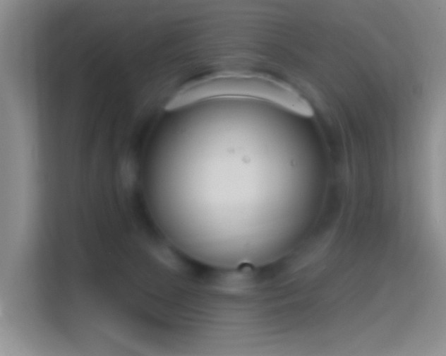 X0000114440081200910231327