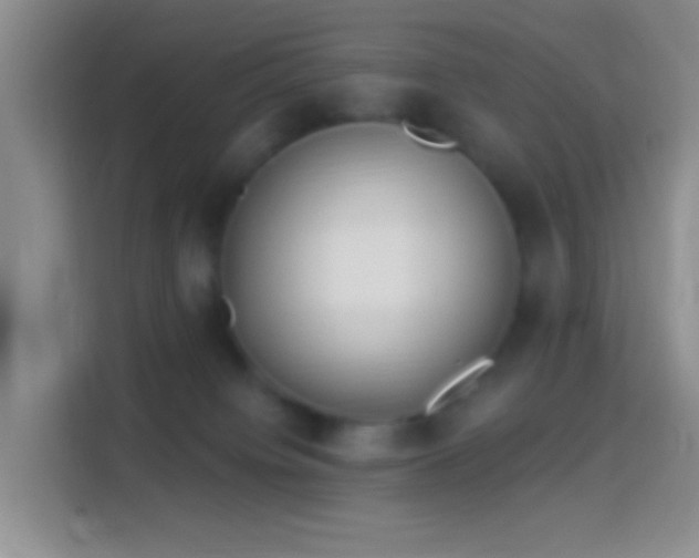 X0000114440084200910231327