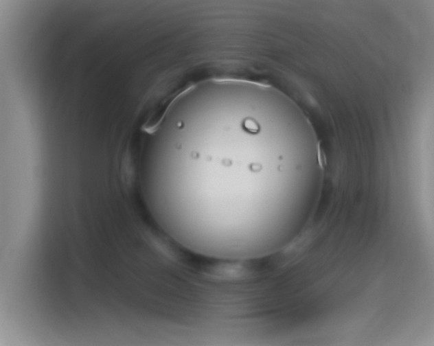 X0000114440086200910231327