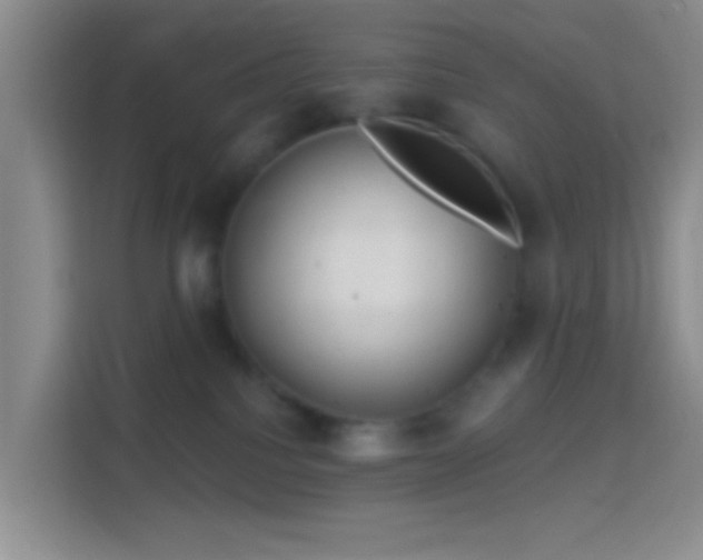 X0000114440088200910231327