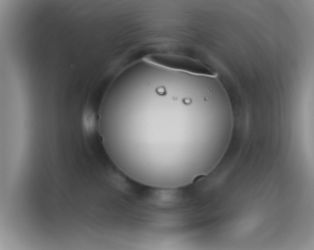 X0000114440089200910231327