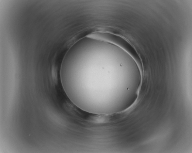 X0000114440094200910231327