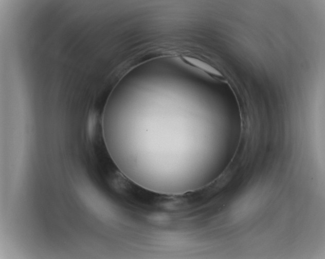 X0000114440095200910231327