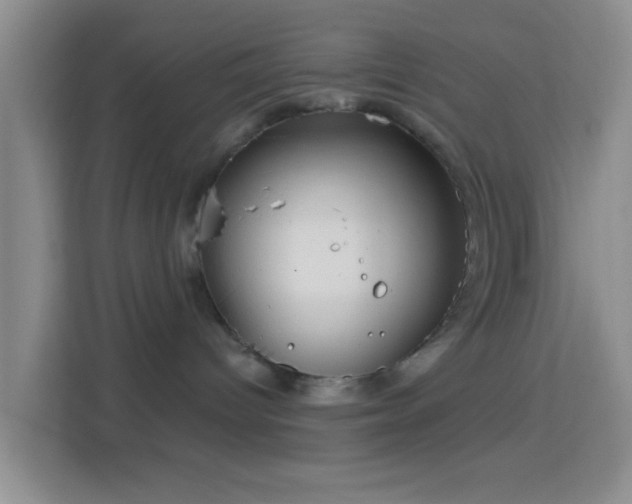 X0000114440096200910231327