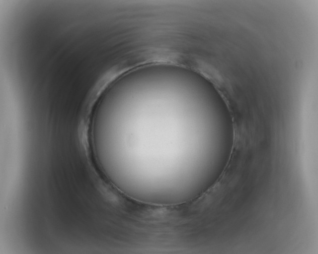 X0000114440098200910231326