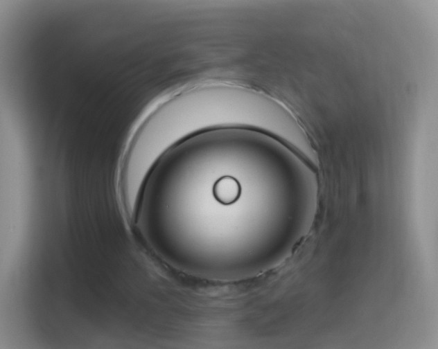 X0000114440100200910231326