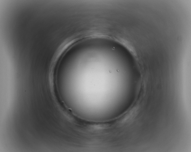 X0000114440103200910231326