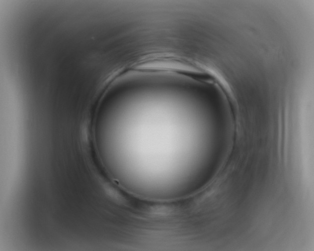 X0000114440105200910231326