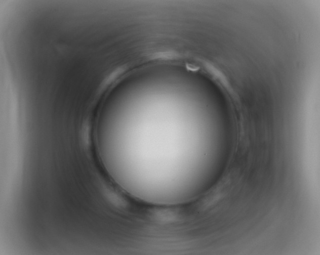 X0000114440106200910231326