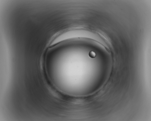 X0000114440107200910231326