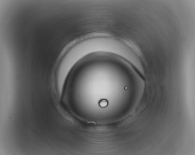 X0000114440108200910231326