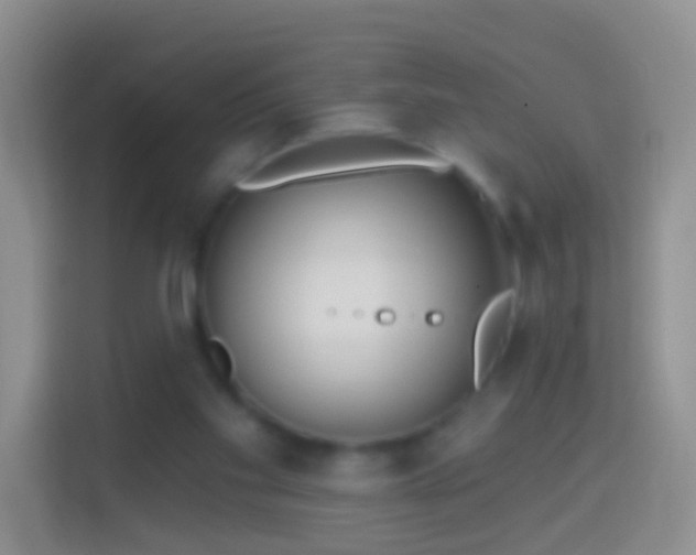 X0000114440109200910231326