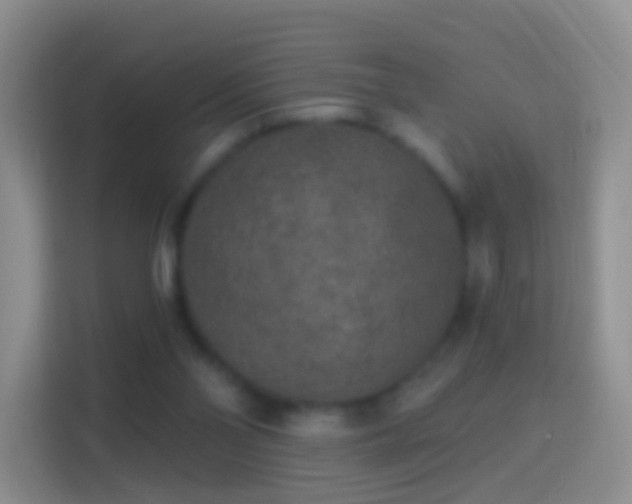 X0000114440110200910231326