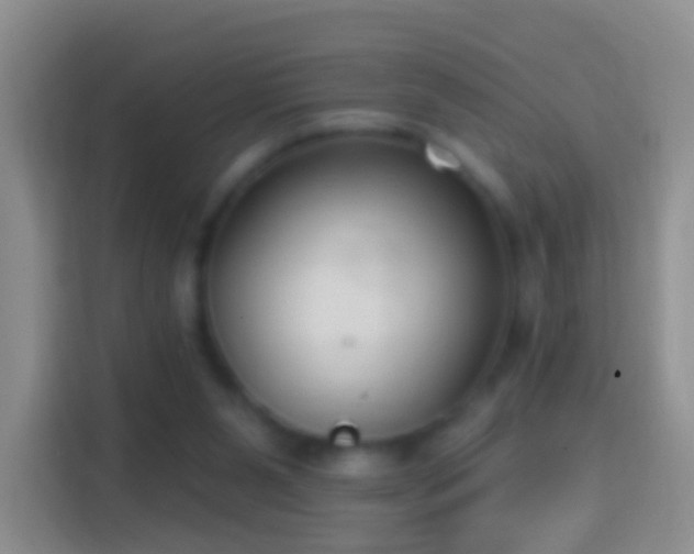 X0000114440111200910231326