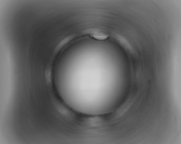 X0000114440112200910231326