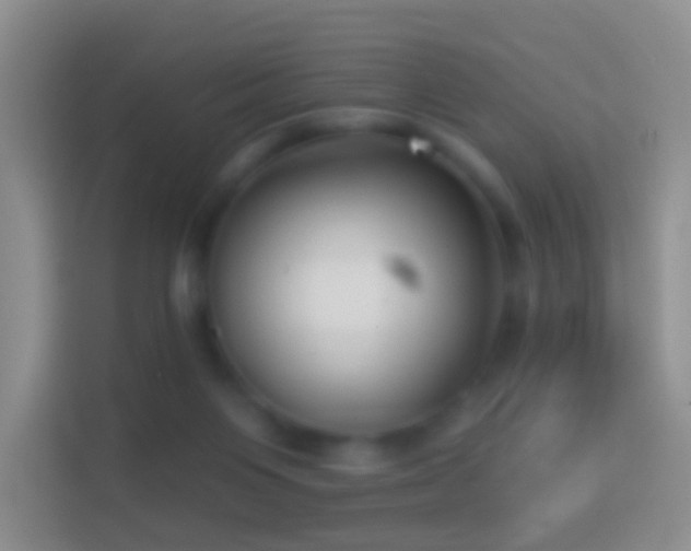 X0000114440119200910231326