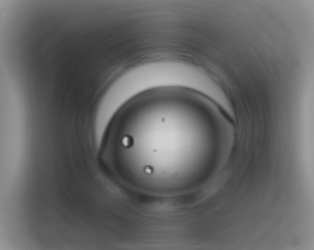 X0000114440120200910231326